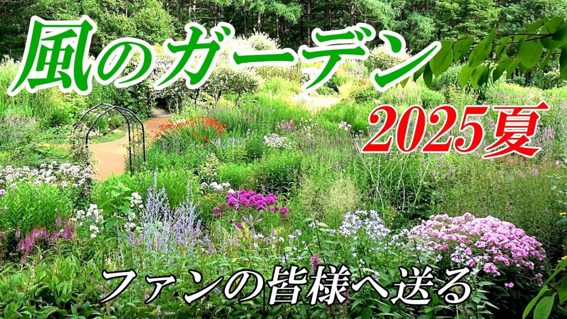 【風のガーデン】2025夏~風のガーデンファンに送る!!「北海道 富良野より」4K 【風のガーデン】2025夏~風のガーデンファンに送る!!「北海道 富良野より」4K