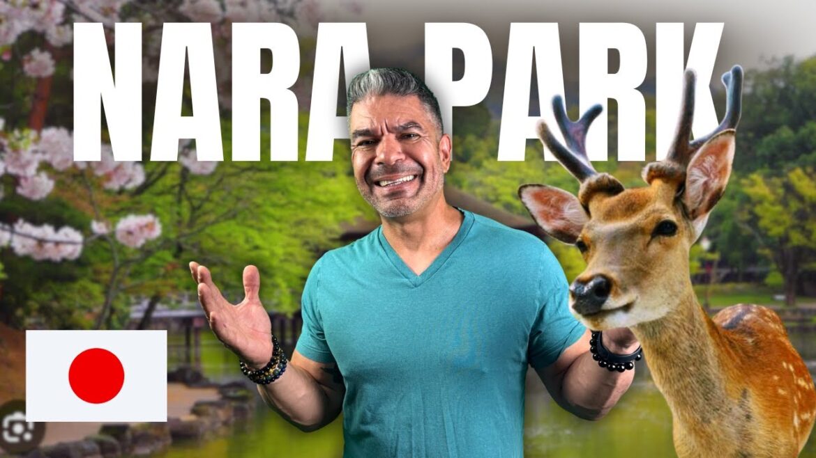 We Got Mobbed by Deer in Nara Park - Japan Travel Vlog