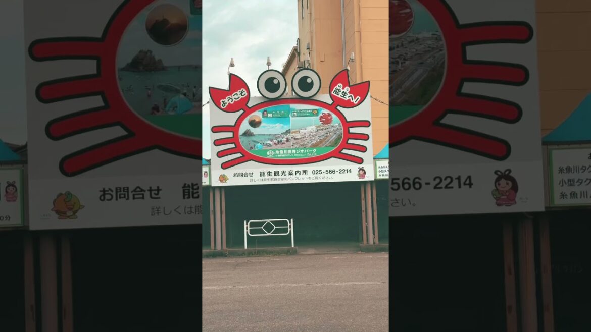 Itoigawa | Japanese village town | Rice fields