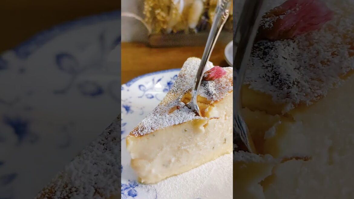 cheesecake, Shizuoka, Japan #9