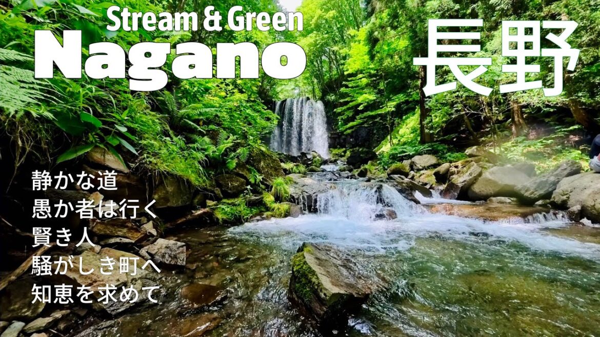 Healing the Soul with Soothing Stream Sounds and Lush Nature in Nagano|4K HDR Healing the Soul with Soothing Stream Sounds and Lush Nature in Nagano|4K HDR