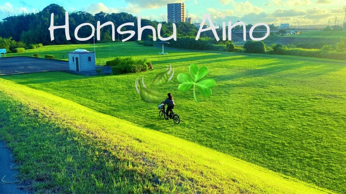 Cozy Evening Stroll in Aino | Fukurio | Shizuoka | Japan 🇯🇵