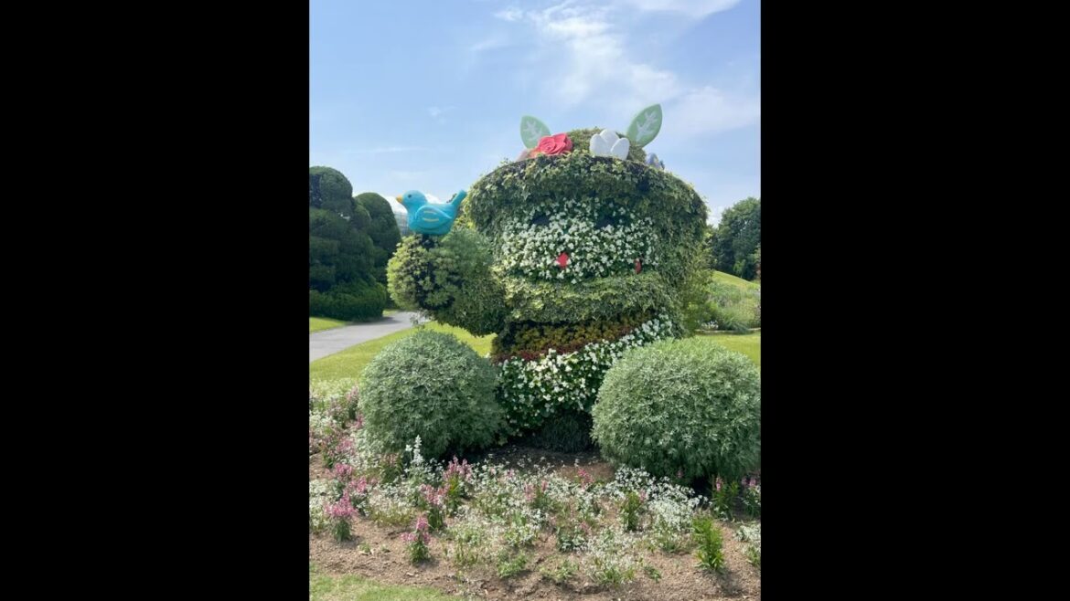 (26) Hamamatsu  2 June Part 2