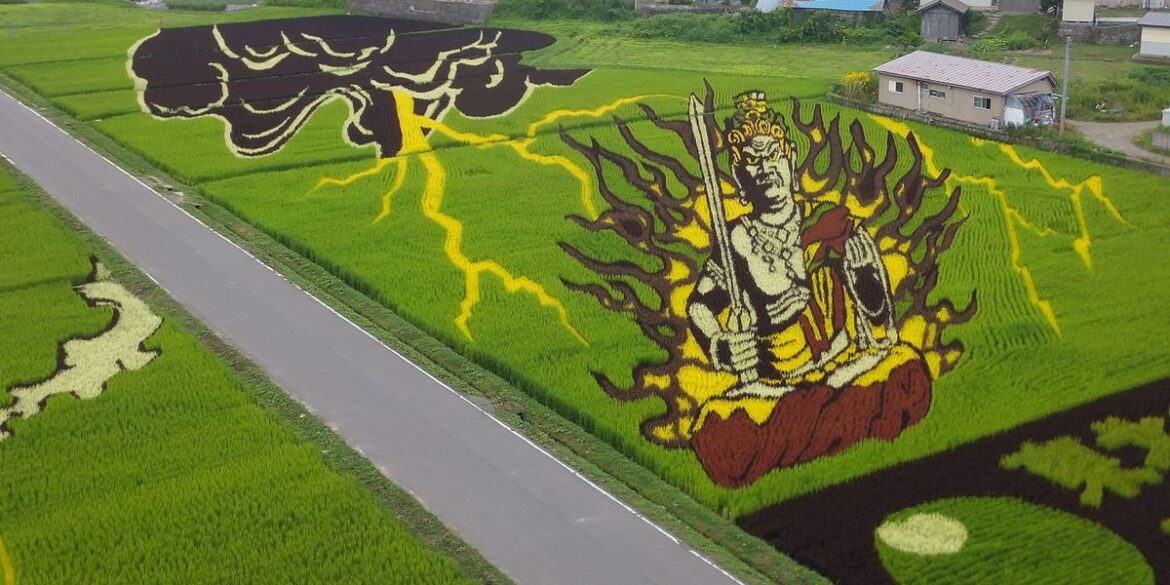 Japan’s ‘rice paddy art’ blends modern technology and ancient crops to make living artwork Japan's 'rice paddy art' blends modern technology and ancient crops to make living artwork