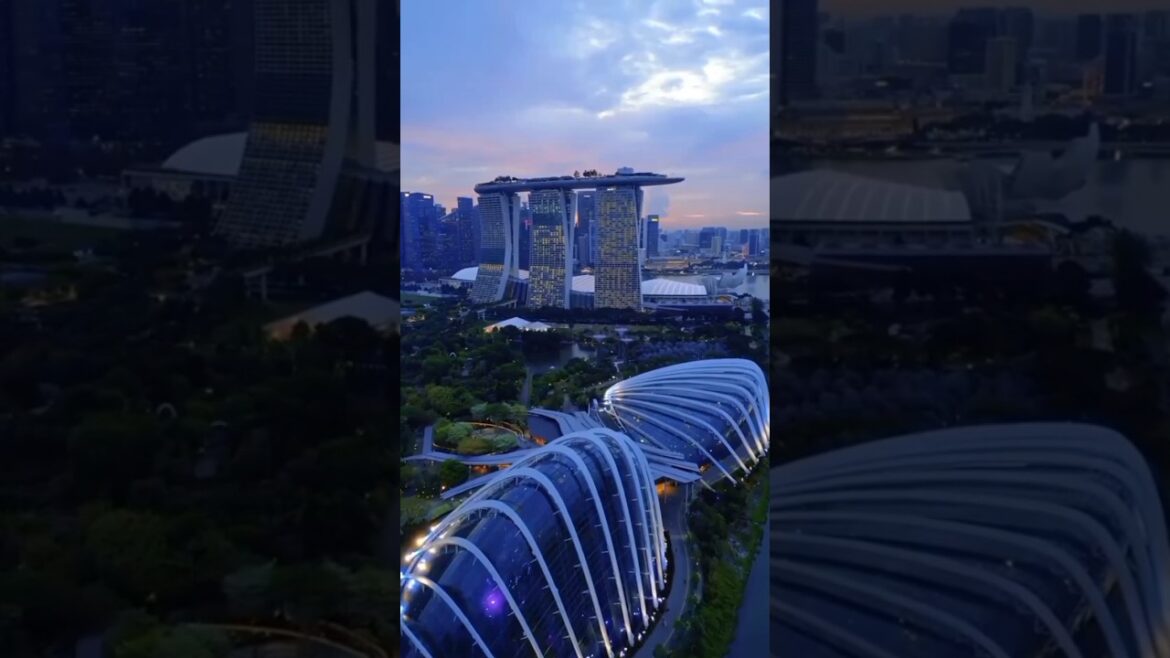 #shorts #viralshorts #chatgpt