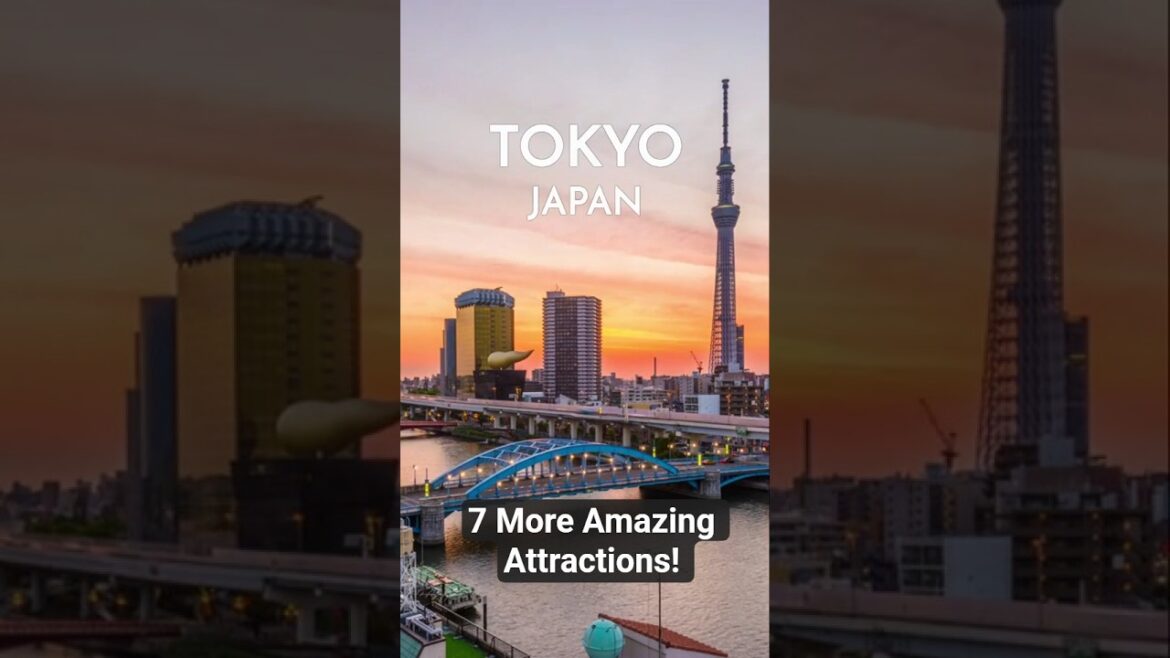 π―π΅16 Awesome Things To Do in TOKYO Japan (part 2) #tokyotravelguide π―π΅16 Awesome Things To Do in TOKYO Japan (part 2) #tokyotravelguide