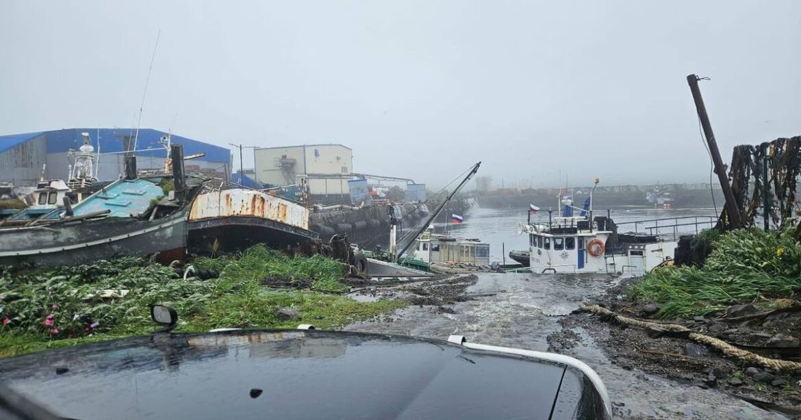 ‘Japan’s Baba Vanga’ predicted 8.8-mag earthquake and tsunami horror years ago Ipso logo