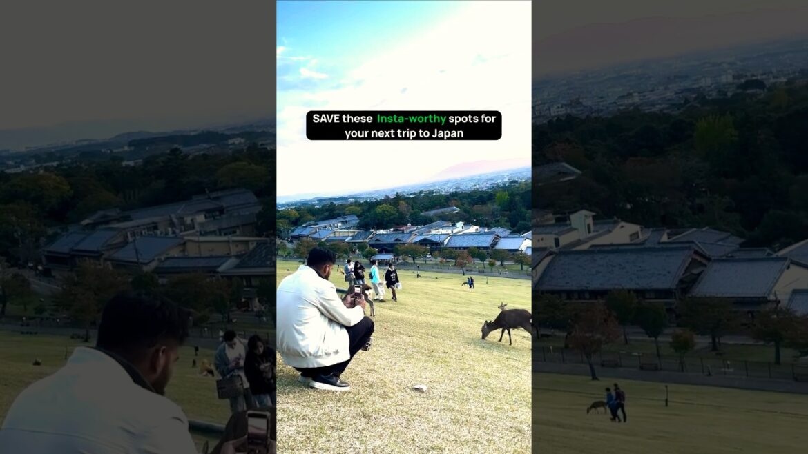 5 Breathtaking Instagram Spots in Japan π―π΅ | Pickyourtrail π #shorts 5 Breathtaking Instagram Spots in Japan π―π΅ | Pickyourtrail π #shorts