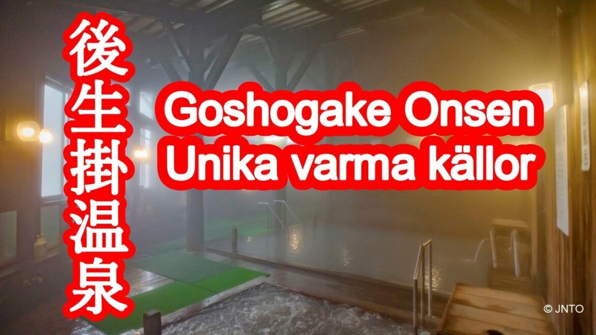 Goseikake Onsen (i Akita): gyttjebad, ångbad och unika upplevelser med varma källor.