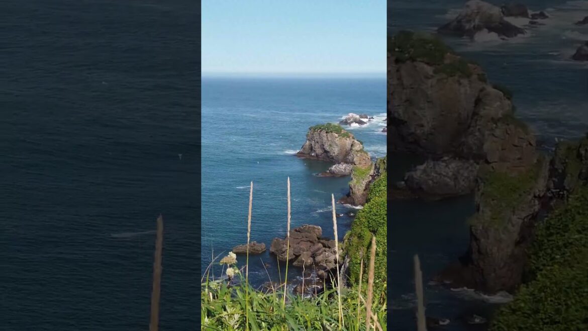 Cape Kiritappu off the beautiful coast of Hokkaido Japan 🗾 #japan #travel #hokkaido Cape Kiritappu off the beautiful coast of Hokkaido Japan 🗾 #japan #travel #hokkaido