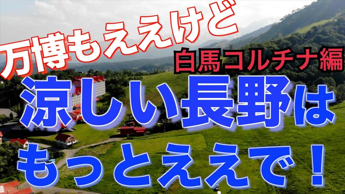 家族と過ごす高原の夏休み!標高900m!ホテルグリーンプラザ白馬で夏の思い出をつくろう!【大阪のみなさんへ】#信州 #小谷村 #家族旅行 家族と過ごす高原の夏休み!標高900m!ホテルグリーンプラザ白馬で夏の思い出をつくろう!【大阪のみなさんへ】#信州 #小谷村 #家族旅行