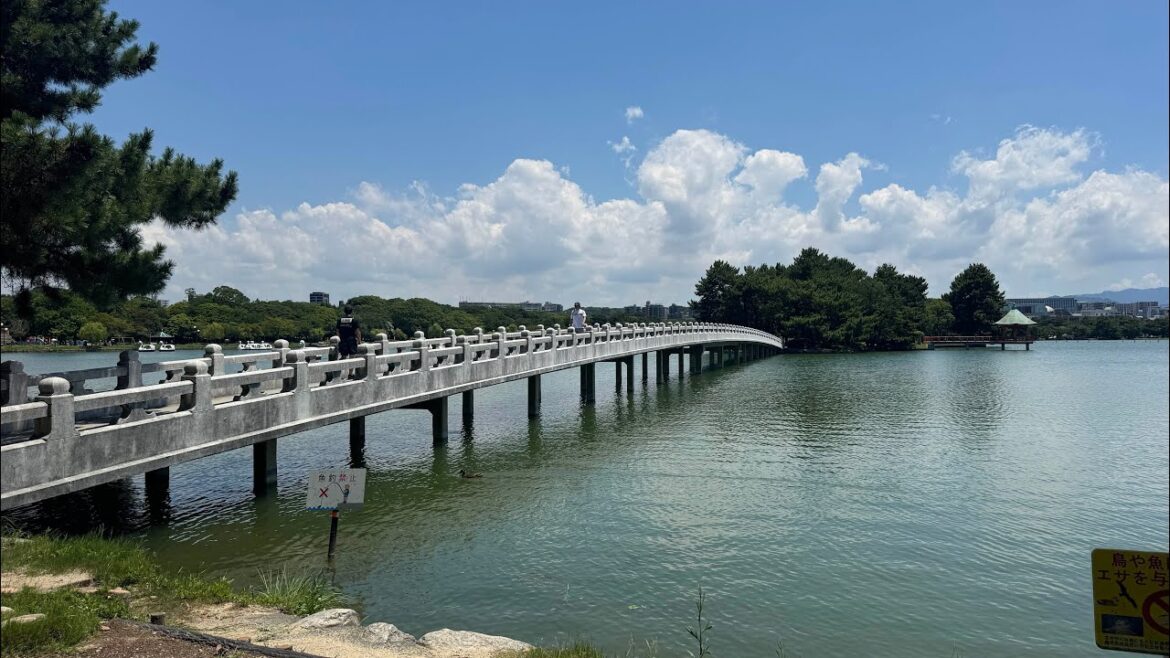 Strolling Ohori Park Fukuoka🇯🇵Live from Japan