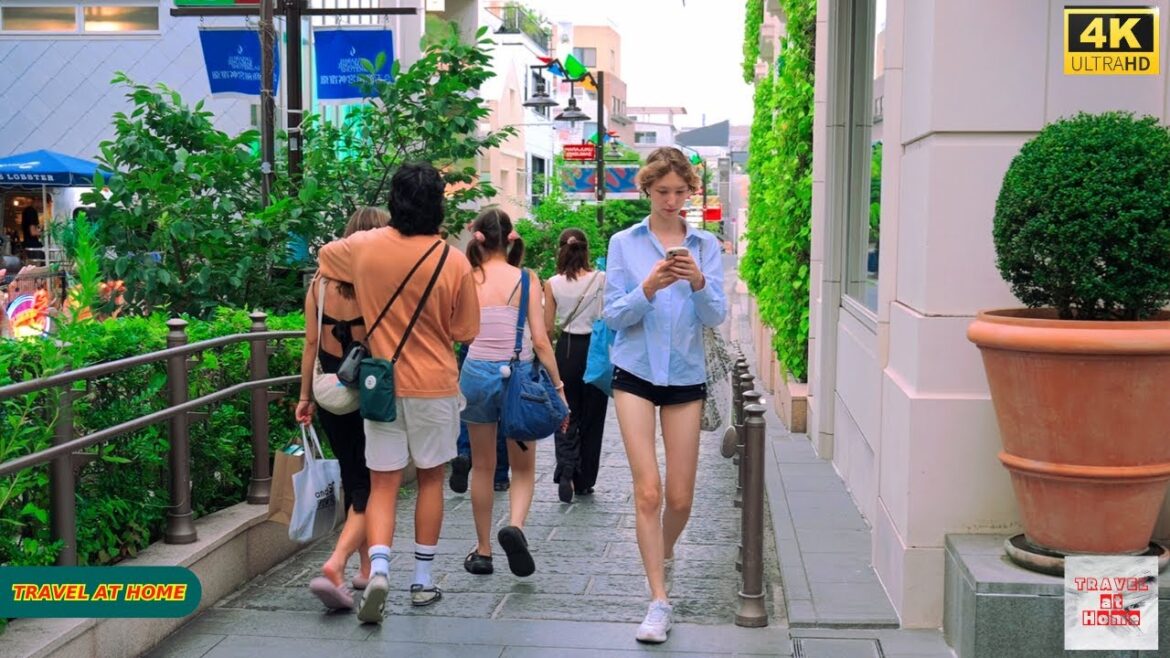 4K HDR Japan travel 2025 | Walk in Harajuku（原宿）Tokyo Japan |  Relaxing Natural City ambience