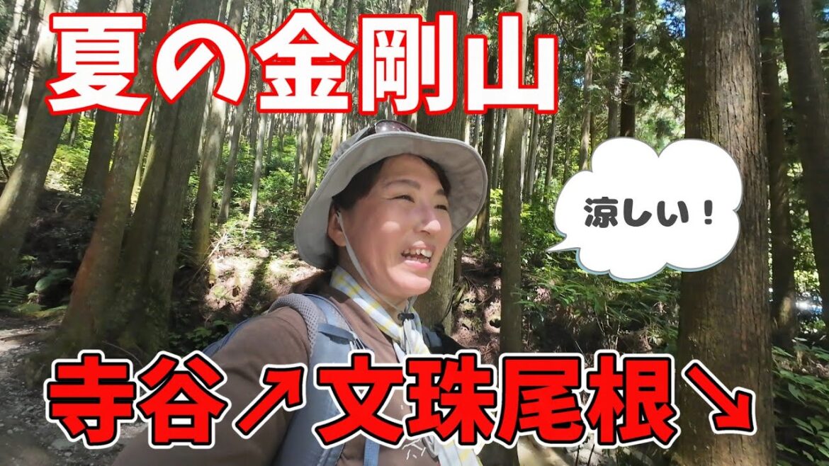 関西低山　夏の金剛山～寺谷ルート～山頂～文珠尾根ルート