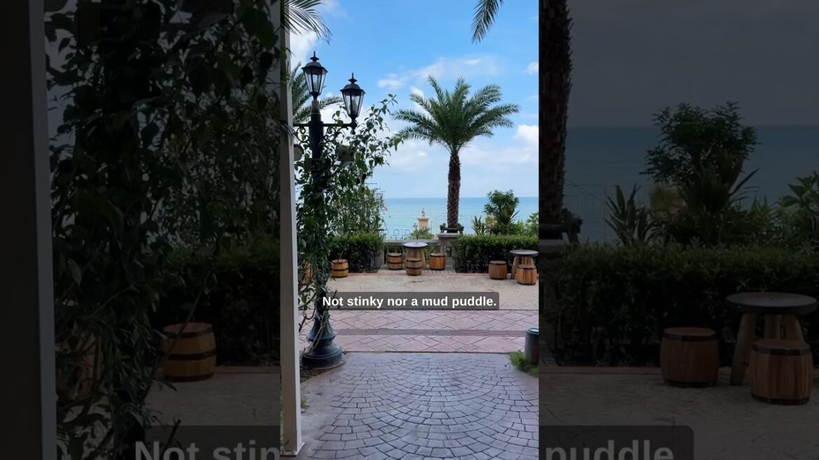 Okinawa is Japan’s paradise Okinawa is Japan’s paradise