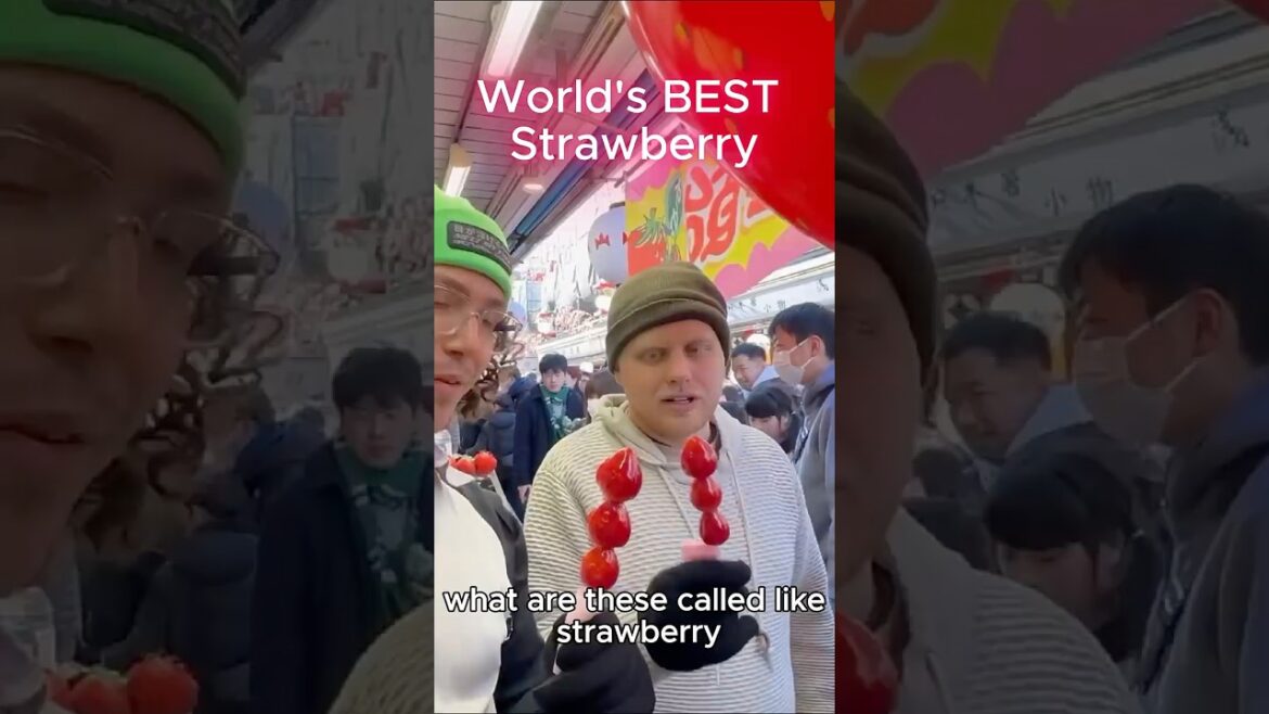 DO NOT Go To #japan Without Trying This! 🍓 #strawberry #foodtravel #streetfood #foodlover #foodvlog DO NOT Go To #japan Without Trying This! 🍓 #strawberry #foodtravel #streetfood #foodlover #foodvlog