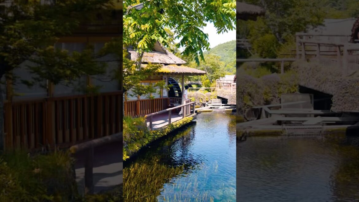 Top 4 Things To Do in Oshino Hakkai 🇯🇵✨| Mt. Fuji’s Hidden Water Village #japan #travel #zen Top 4 Things To Do in Oshino Hakkai 🇯🇵✨| Mt. Fuji’s Hidden Water Village #japan #travel #zen