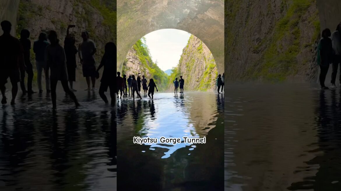 Kiyotsu Gorge Tunnel | Wonderful Place to visit |#japan #niigata #naganoprefecture Kiyotsu Gorge Tunnel | Wonderful Place to visit |#japan #niigata #naganoprefecture