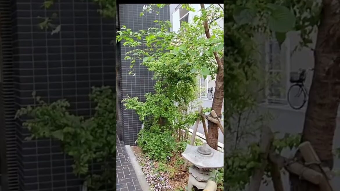 Spring in Osaka and Kyoto - Cherry Blossoms and Nature #travel #japan #osaka #firsttimeinjapan