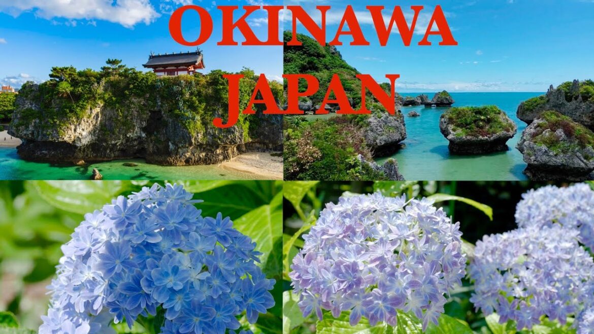 Okinawa Japan | Okinawa Travel | Japanese Food | Japanese Traditional Dance | Japanese Tourist Guide