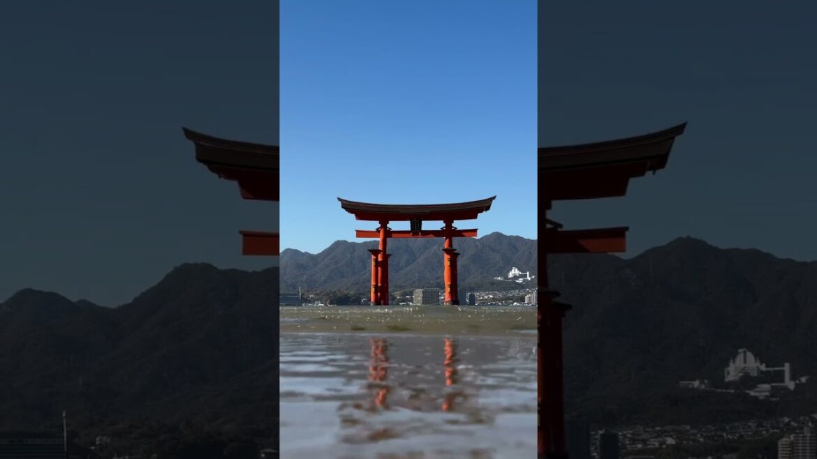 📍⛩Itsukushima shrine / Hiroshima🗾 厳島神社 📍⛩Itsukushima shrine / Hiroshima🗾 厳島神社