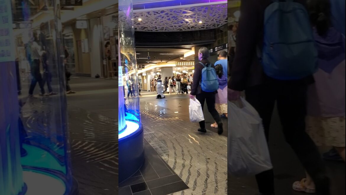 #巡回製備中#SECURITY#ロボット#kyoto#station #japan