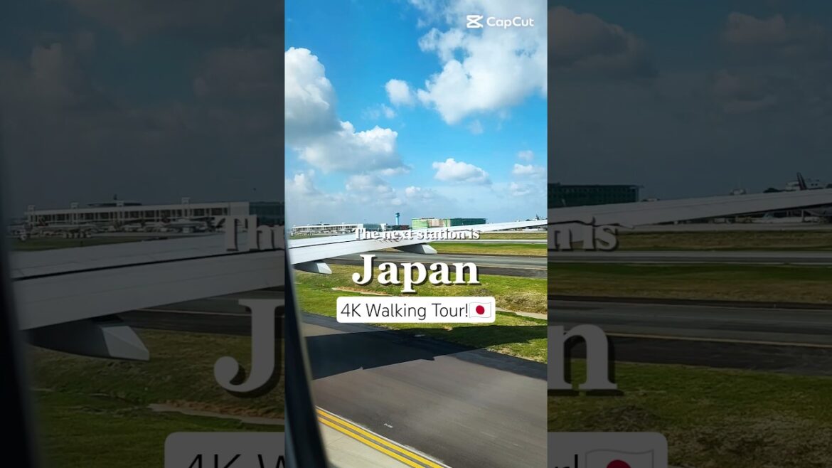 TOKYO JAPAN 🇯🇵 | 4K  ULTRA HDR CITY TOUR! #travel #japan #shorts #sub