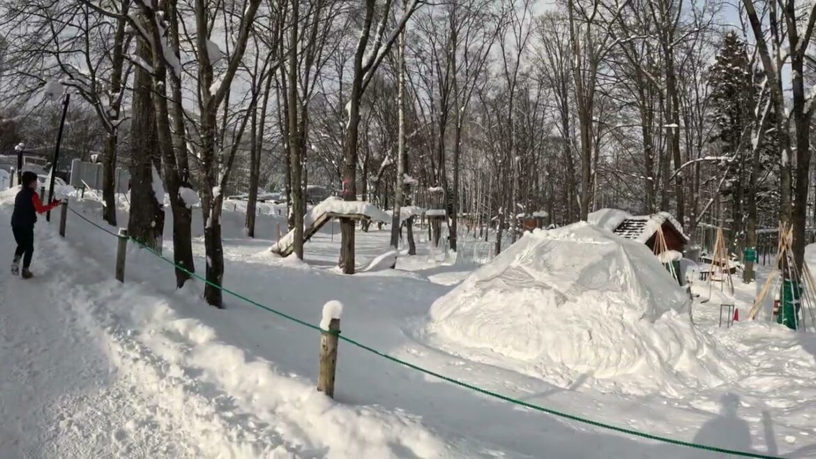 Furano - Shin Furano Prince Hotel Picnic Garden in Winter - Part 1 - 16 Dec 2024