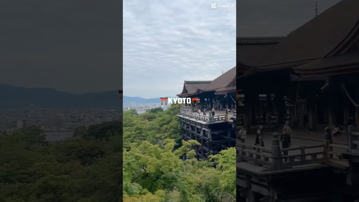 #japan #travel #japaneseculture #kyoto #zen #arashiyama #bambooforest #temple  #japanesegarden