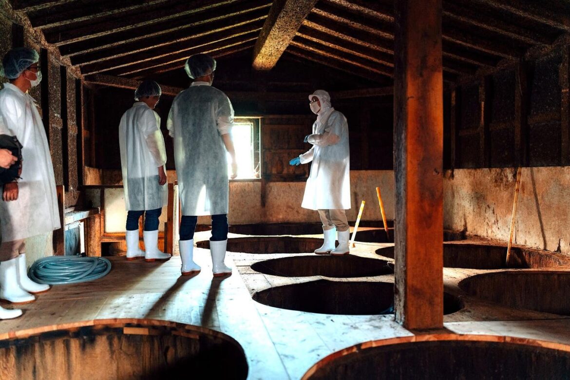 Interested In Fermented Food? Japan’s Traditional Producers Can Help You Learn Interested In Fermented Food? Japan's Traditional Producers Can Help You Learn