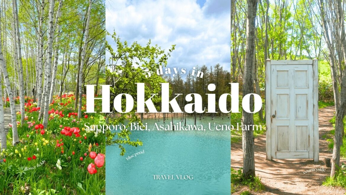 Hokkaido vlog – Sapporo, Asahikawa, Biei, Ueno Farm – part 5 Hokkaido vlog - Sapporo, Asahikawa, Biei, Ueno Farm - part 5