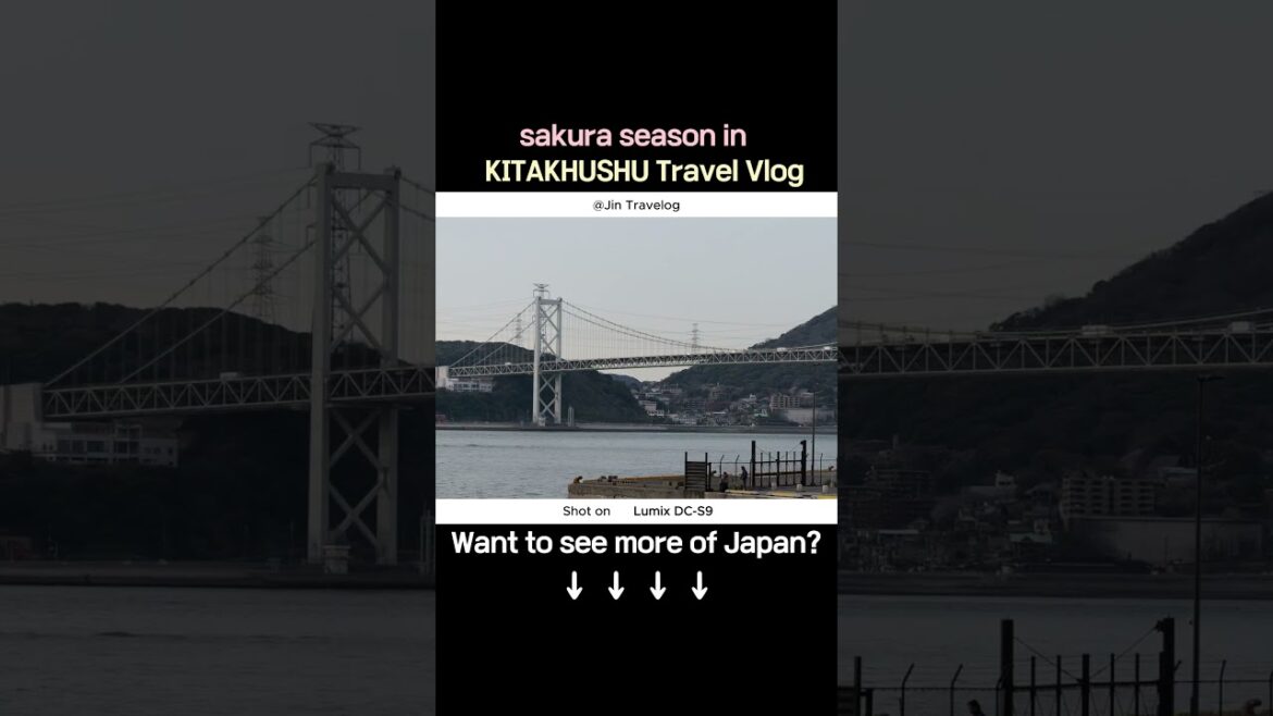 Sakura Meets Retro: Mojiko on Film｜桜とレトロの門司港｜櫻花交織的老街光景 #travel #japantravel #japan