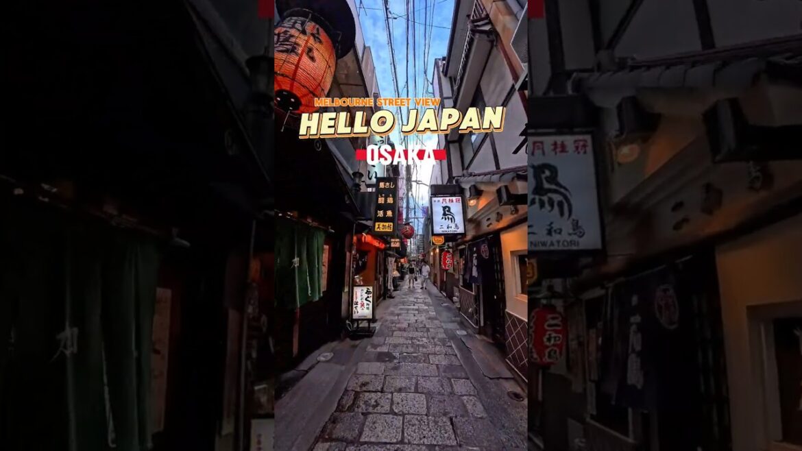 The Secrets of Osaka's Nightlife