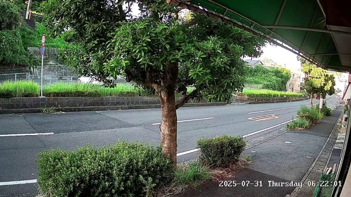 長崎県佐世保市権常寺町ライブカメラ　Nagasaki Sasebo Live camera.world.cam