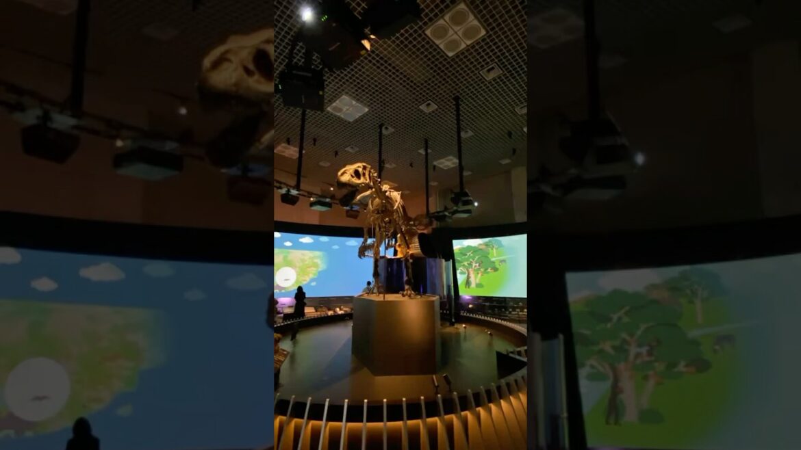 [旅行 Travel] (日本・東京国立科学博物館 National Museum of Nature and Science Tokyo, Japan - 02 ) #museum #travel