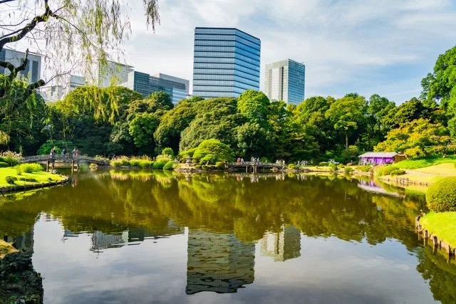 HADI ZAHER/Getty Images A scenic pond in Shinjuku Gyoen.
