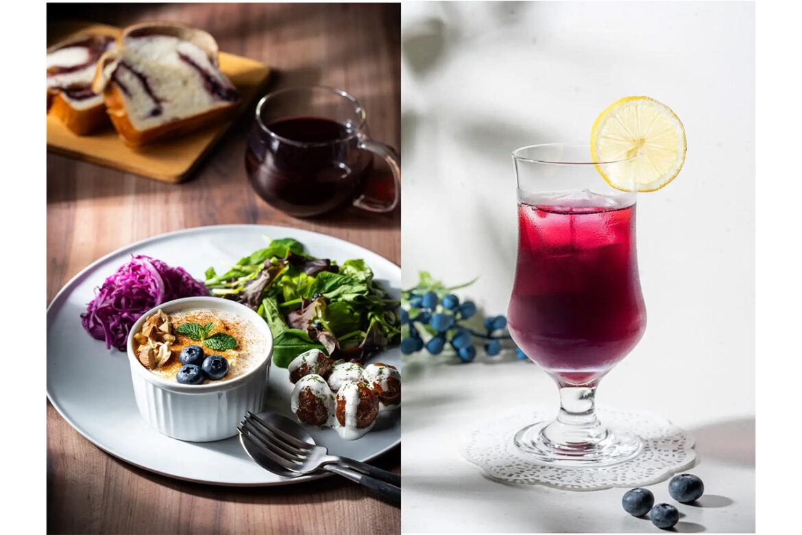Scandinavian mornings and experiences to enjoy the space! Grand Opening of WAKASA&Co., a Blueberry Specialty Shop in Kyoto Shijo Scandinavian mornings and experiences to enjoy the space! Grand Opening of WAKASA&Co., a Blueberry Specialty Shop in Kyoto Shijo