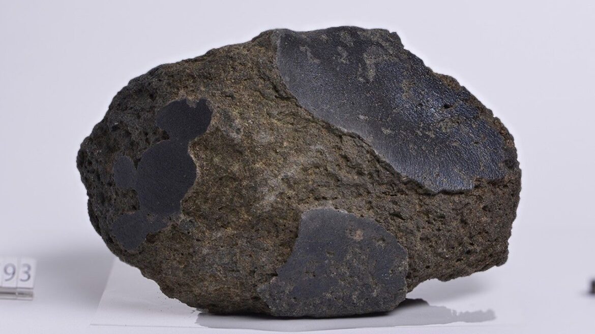 The Longest Route to Osaka: Martian Meteorite Found in Antarctica on Display at Expo 2025 The Longest Route to Osaka: Martian Meteorite Found in Antarctica on Display at Expo 2025