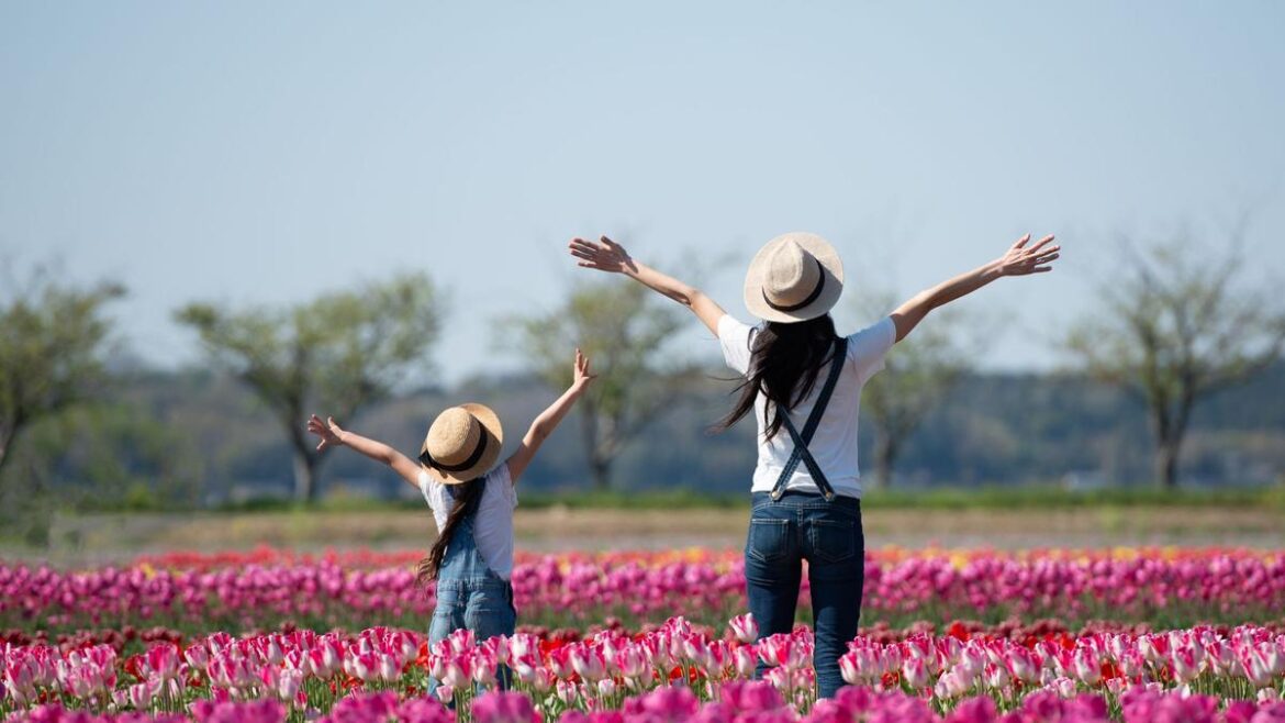 8 reasons to visit Japan in summer