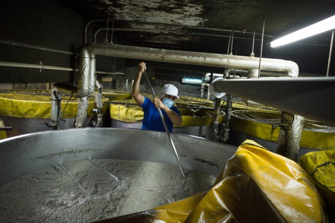 Okinawa city seeks special zone status for production of local distilled spirit Okinawa city seeks special zone status for production of local distilled spirit