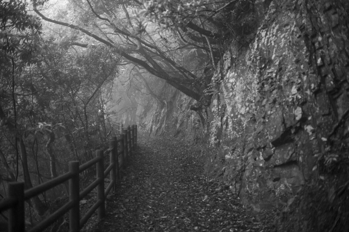 Craig Mod’s life in motion in a disappearing Japan Craig Mod's life in motion in a disappearing Japan