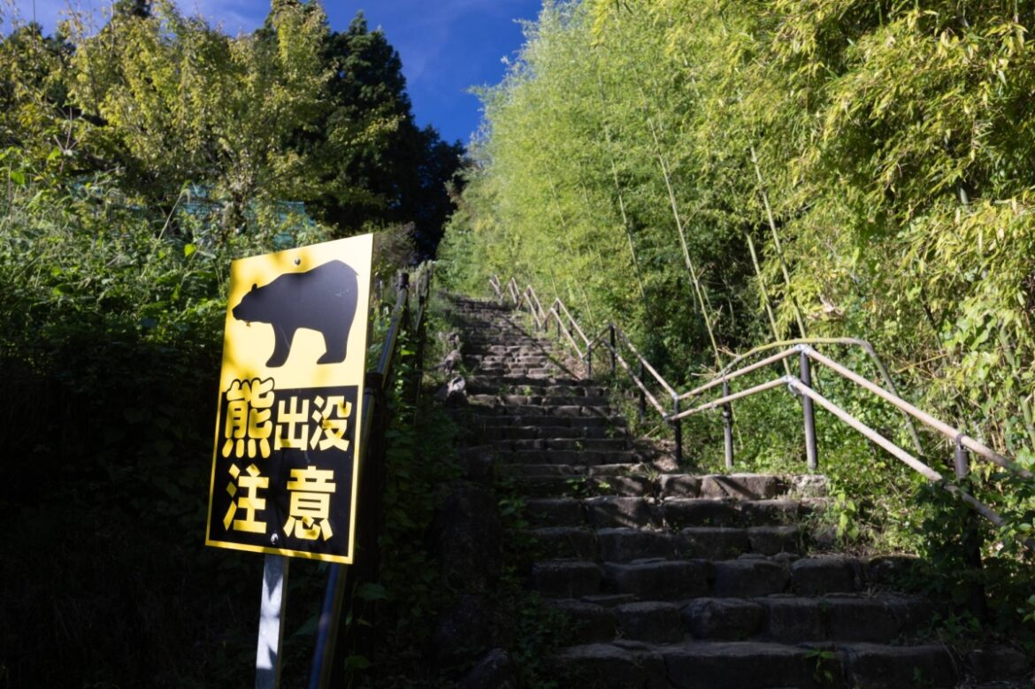 Bear stops play again at Japan golf event