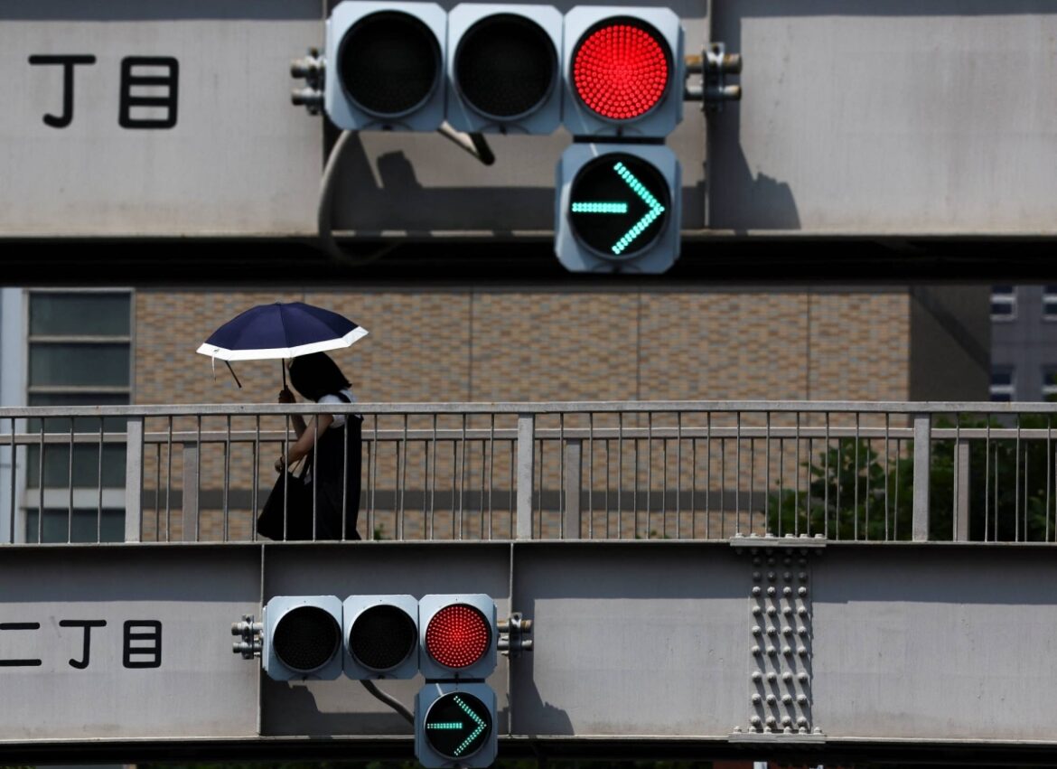 Japan insurer to launch policy linked to bear culling