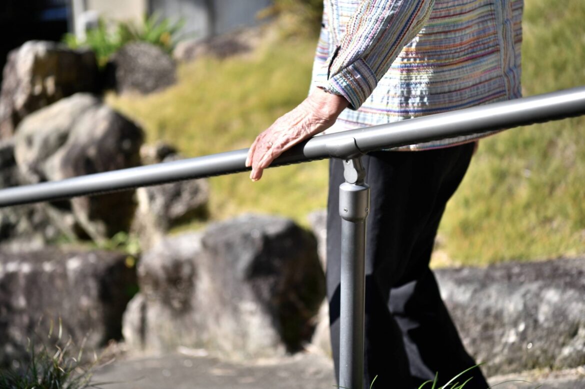Japan's oldest person dies at 114