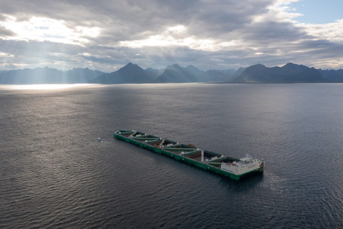 Japan’s Mitsubishi expands in salmon farming with acquisitions in Norway, Canada Japan’s Mitsubishi expands in salmon farming with acquisitions in Norway, Canada