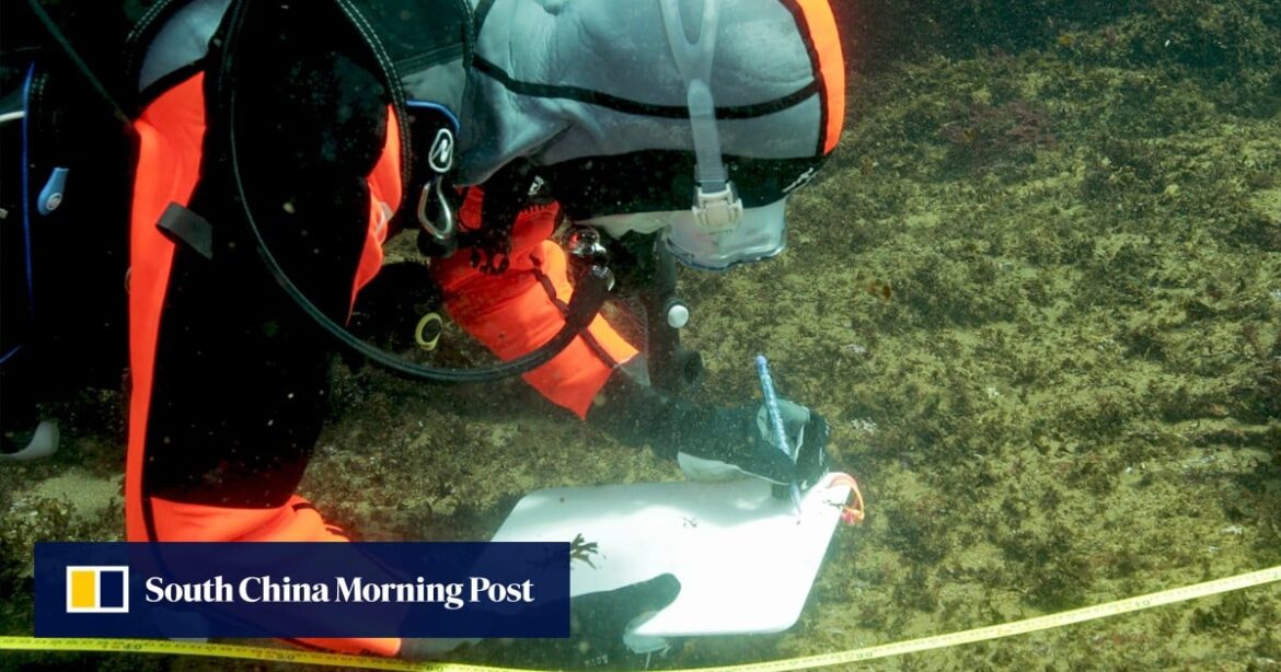 Japan’s ultra-deep-sea quest to mine rare earths triggers a green backlash