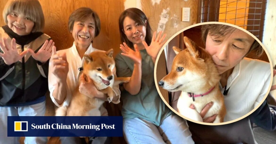 Japan man sells Ferrari to fund shelter for ‘taxing’ dogs, repay pet that saved his life