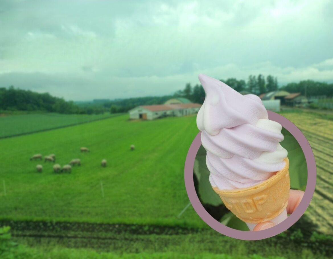 Agnes soft serve