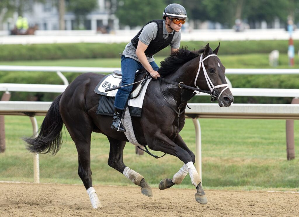 Repole Set To Unveil Drefong Colt Repole Set To Unveil Drefong Colt