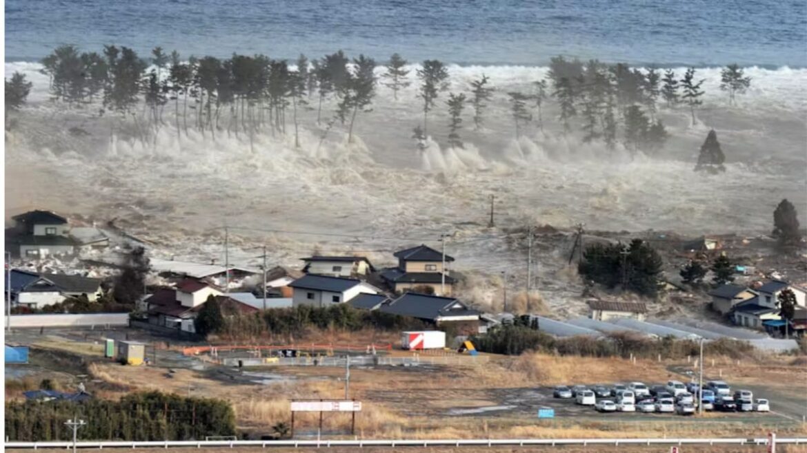 Tsunami In Russia, Japan: Is It OK To Travel By Ships & Boats? Are Rail, Air, Road Routes Safer? | Auto News News18
